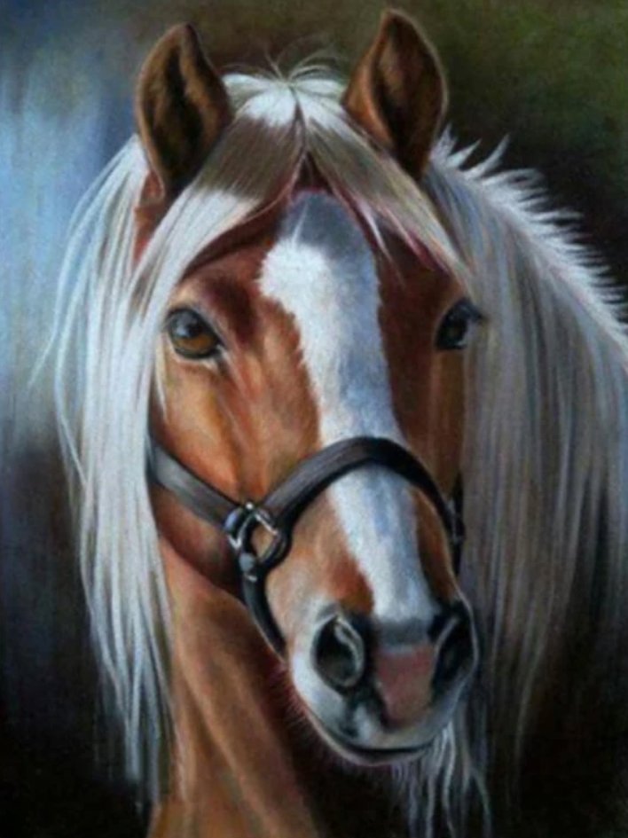 Norimpex Portrét koňa 30 × 40 cm