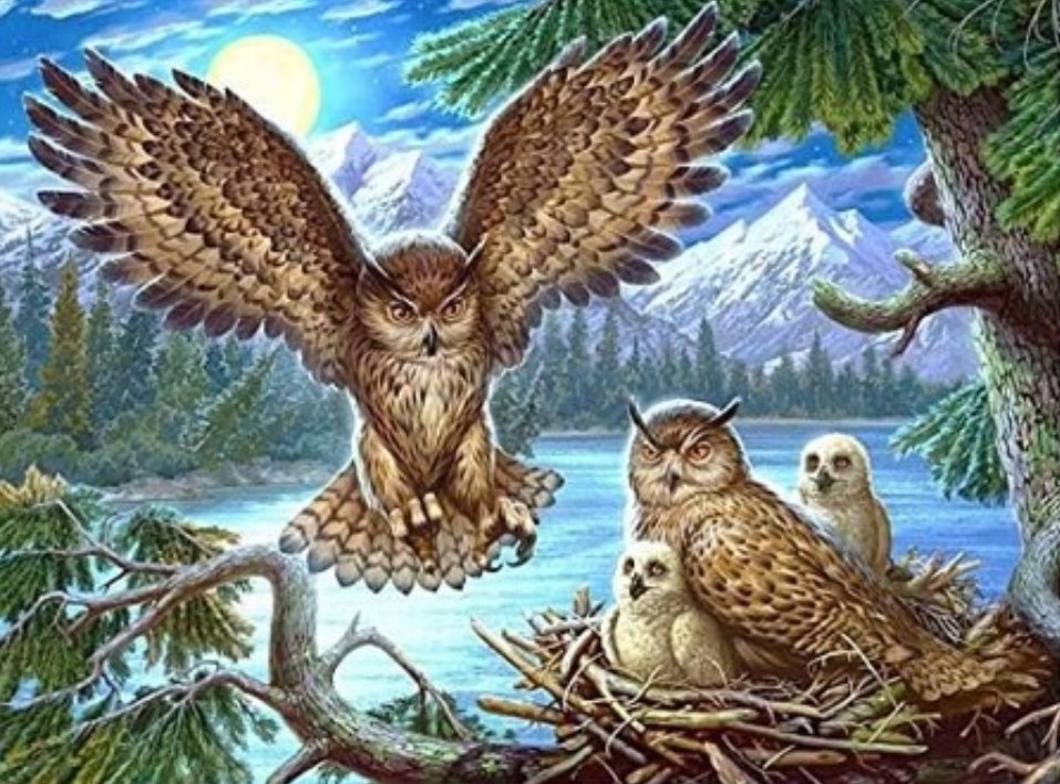 Norimpex Sovie hniezdo 30 × 40 cm
