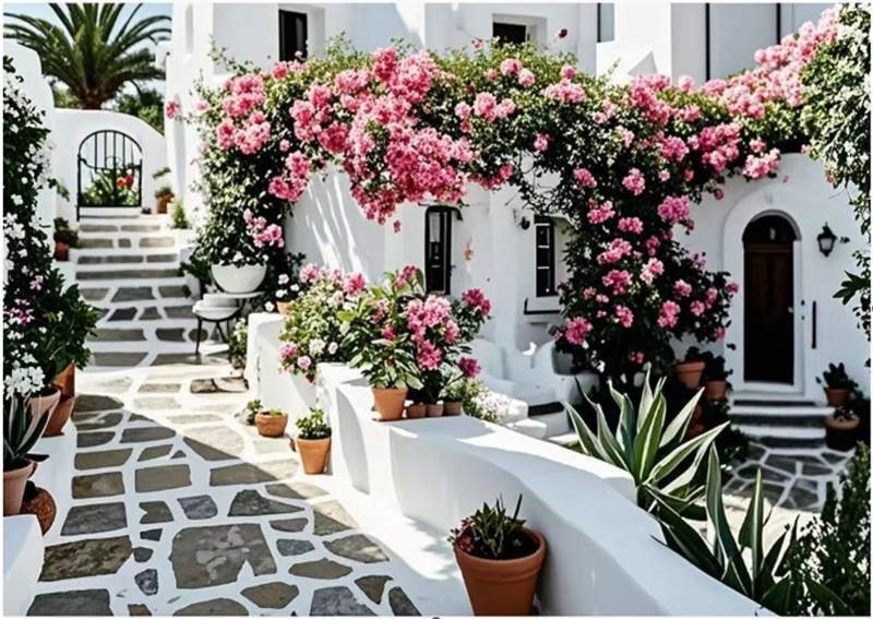 Norimpex Kvitnúce patio 30 × 40 cm