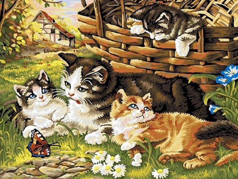 Norimpex Mačacia rodinka 30 × 40 cm