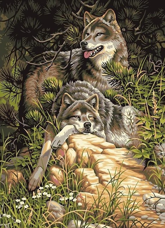 Norimpex Vlci v lese 30 × 40 cm