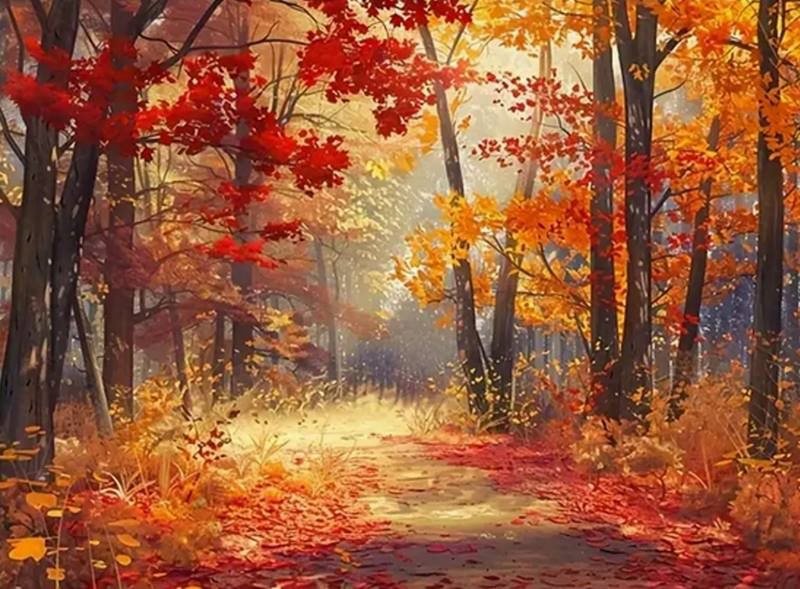Norimpex Les vo farbách jesene 30 × 40 cm