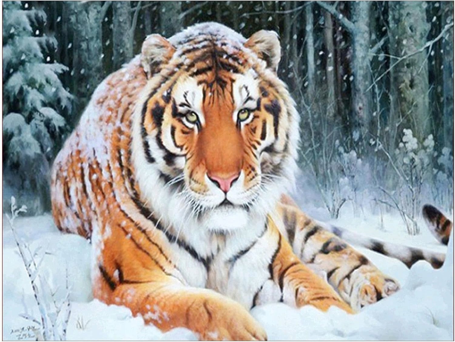 Norimpex Tiger ležiaci v snehu 30 × 40 cm