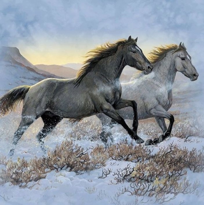Norimpex Kôň 30 × 40 cm