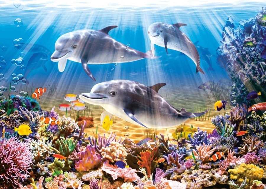 CASTORLAND Puzzle Delfíny 500 dielikov
