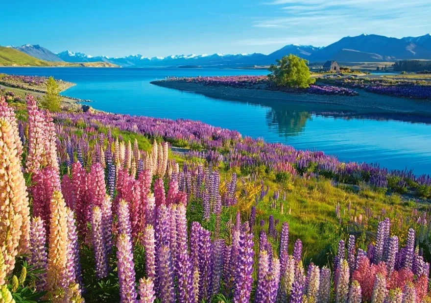 CASTORLAND Puzzle Jazero Tekapo, Nový Zéland 500 dielikov