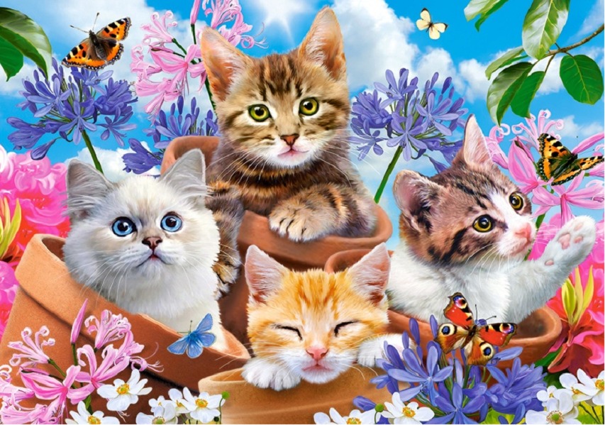 CASTORLAND Puzzle Mačiatka s kvetinami 500 dielikov