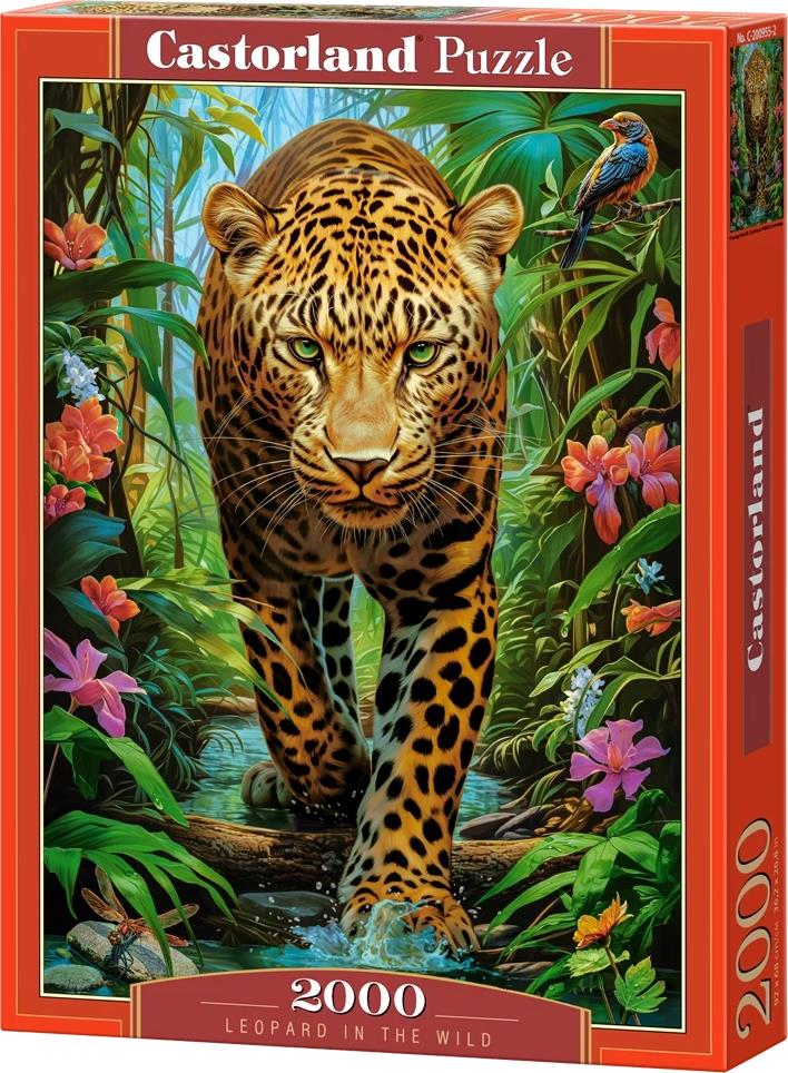 CASTORLAND Puzzle Leopard v divočine 2000 dielikov