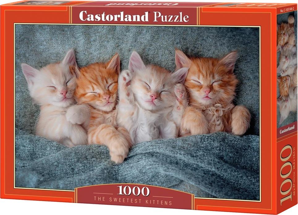 CASTORLAND Puzzle Sladké mačiatka 1000 dielikov