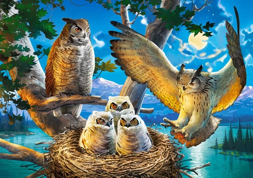 CASTORLAND Puzzle Sovia rodina 500 dielikov