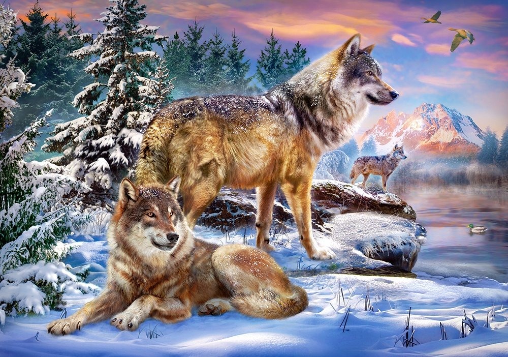 CASTORLAND Puzzle Vlčia krajina 500 dielikov
