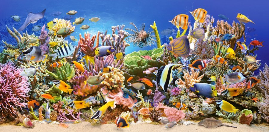 Castorland Puzzle Podmorský život 4000 dielikov