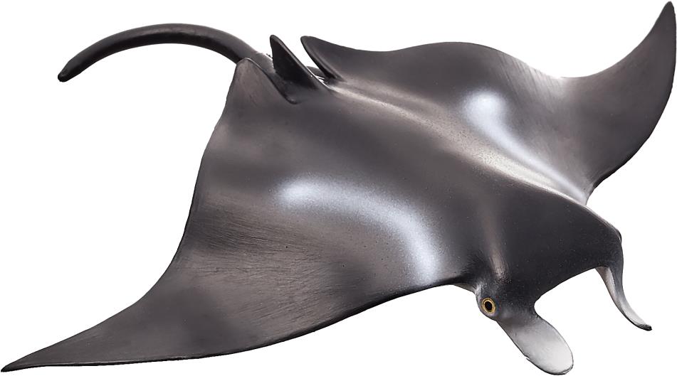 Mojo Fun raja obrovská