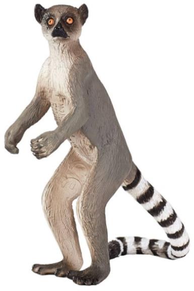 Mojo Fun lemur kata