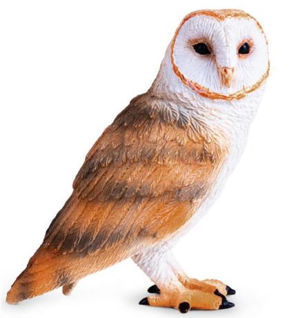 Mojo Fun sova pálená samec