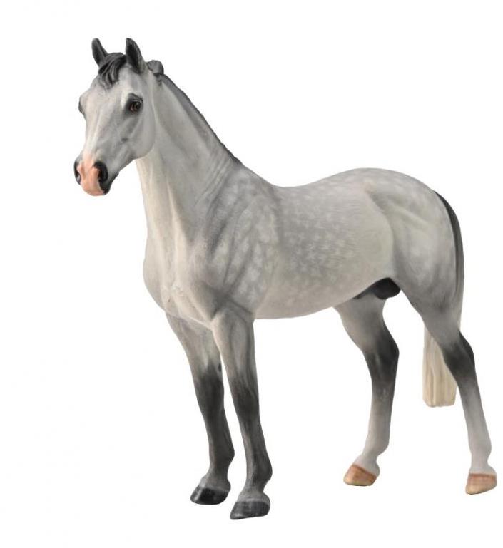 Collecta kôň Hannoverský žrebec