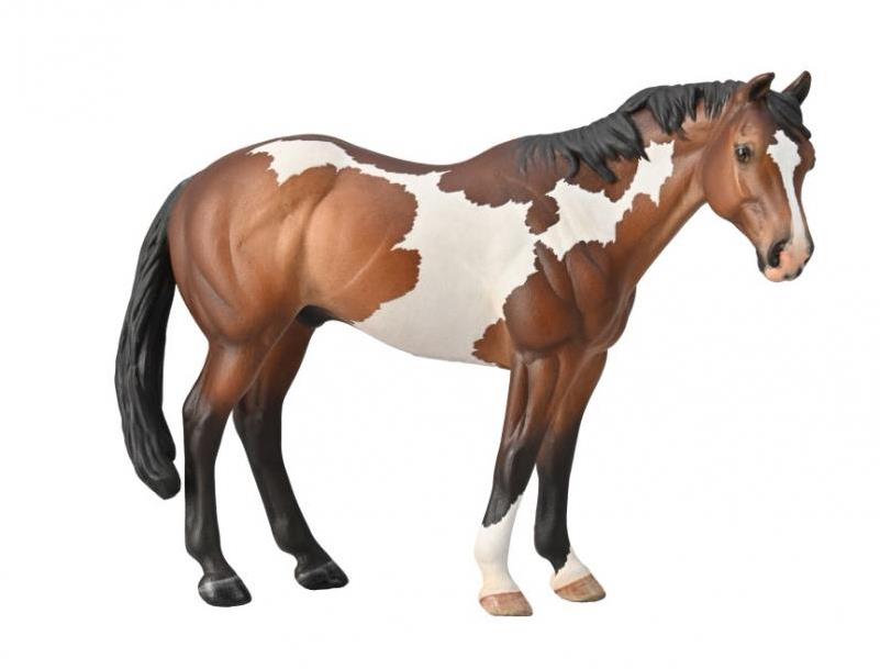 Collecta kôň Appaloosa žrebec fľakatý