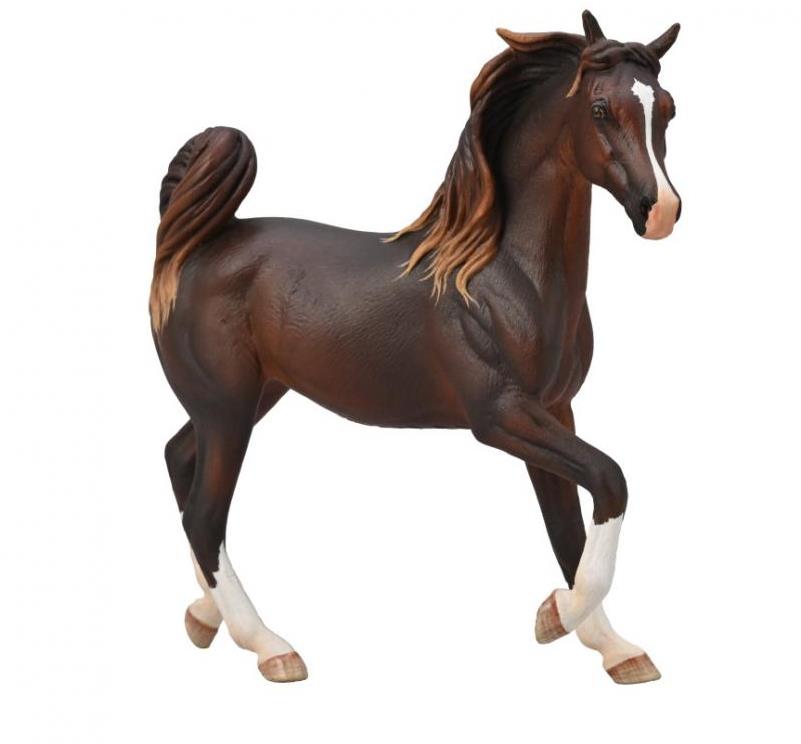 Collecta kôň Arabská kobyla