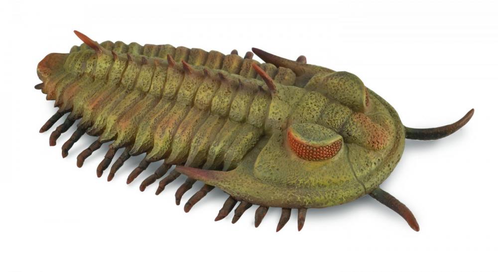 Collecta Trilobit
