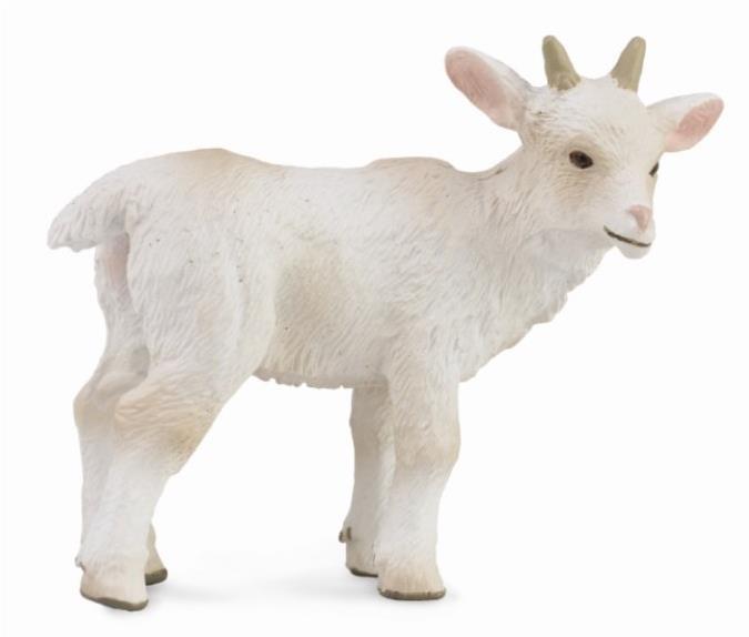 Collecta koza mláďa stojace