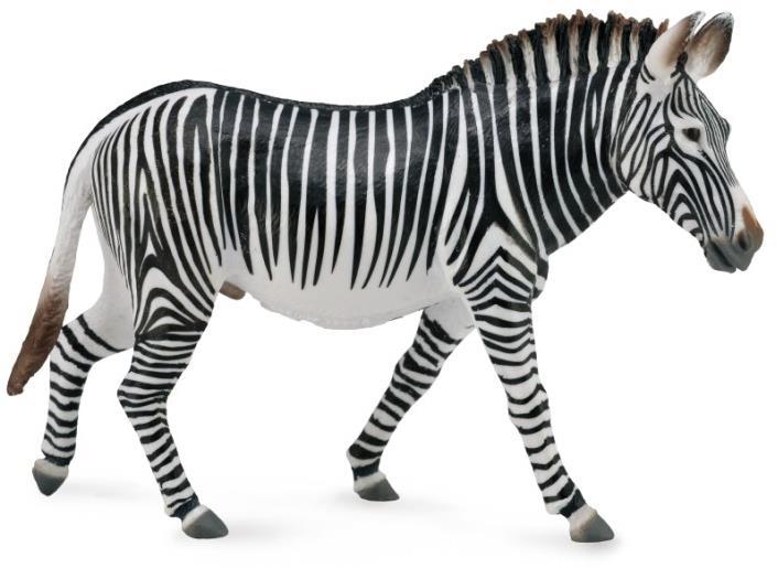 Collecta zebra Grévyho