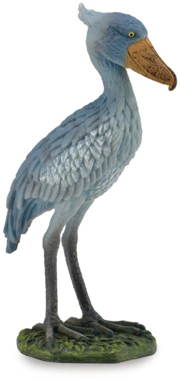 Collecta Člnozobec africký