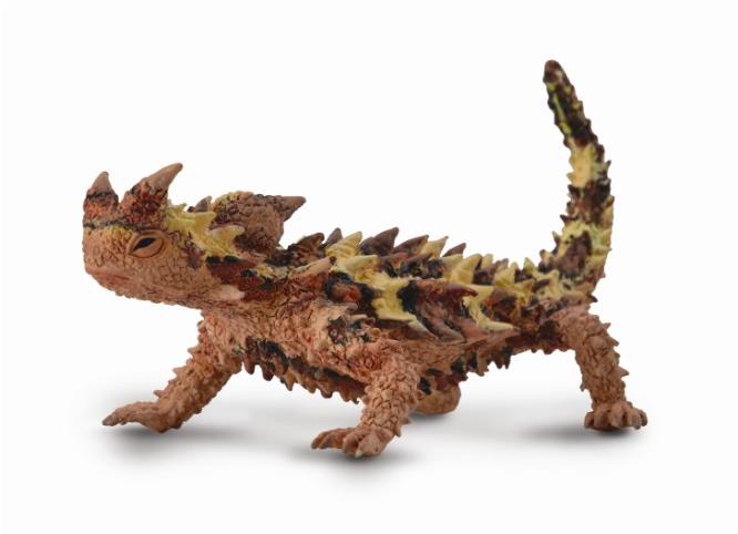 Collecta Moloch tŕnitý