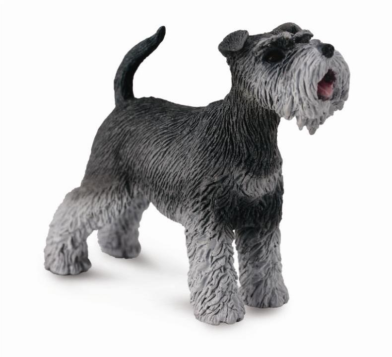 Collecta pes Bradáč stredný
