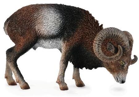 Collecta muflón európsky