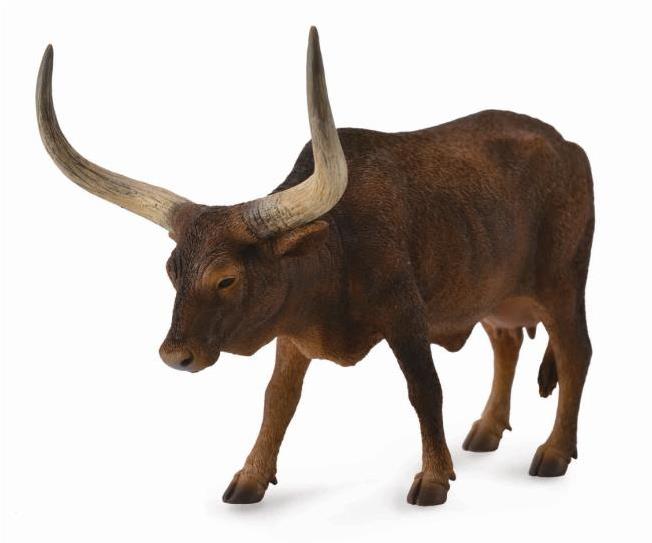 Collecta watusi krava