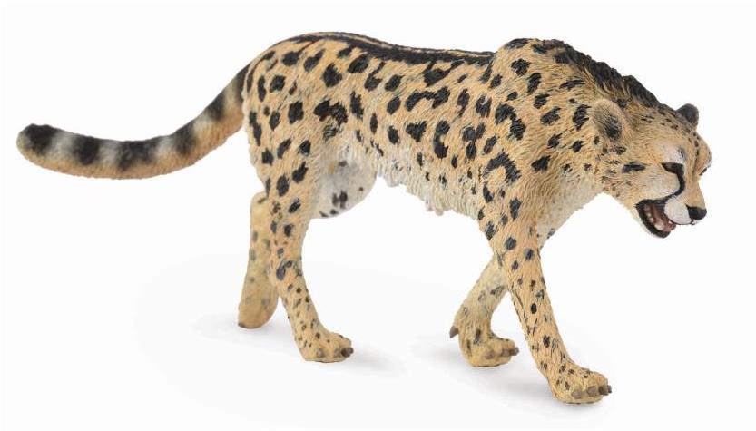 Collecta gepard kráľovský