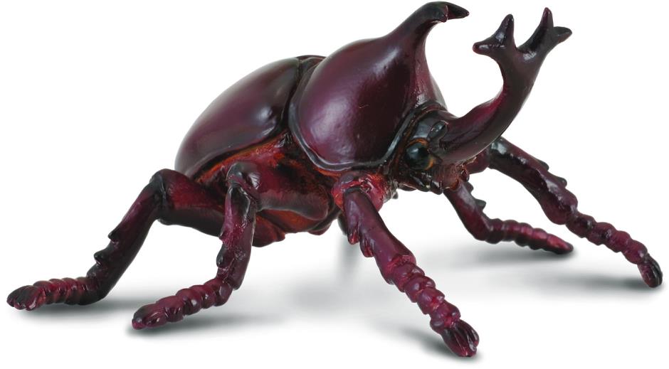 Collecta chrobák Nosorožtek