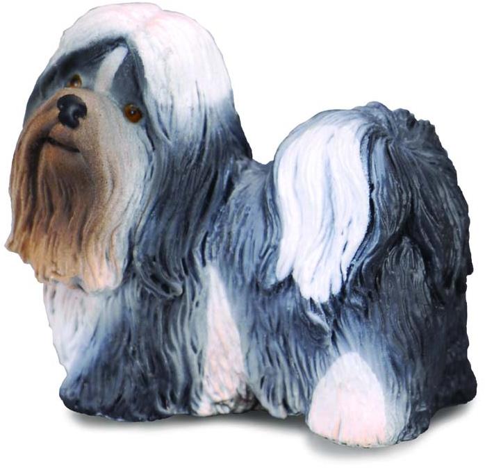 Collecta pes Shih Tzu