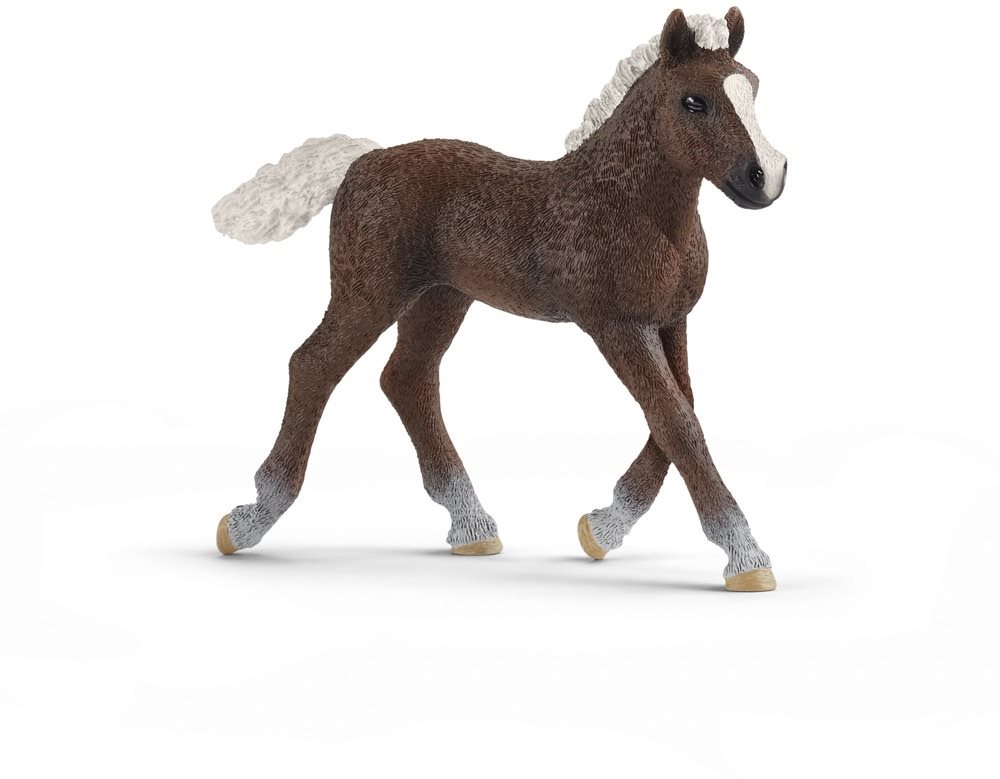 Schleich 13899 Žriebä Schwarzwaldské
