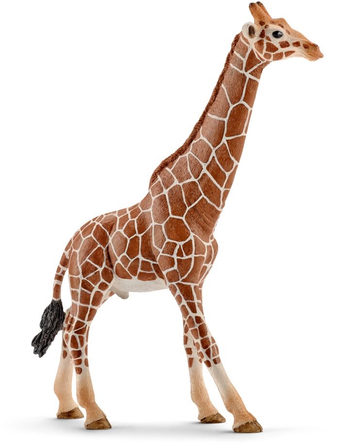 Schleich 14749 Samec žirafy