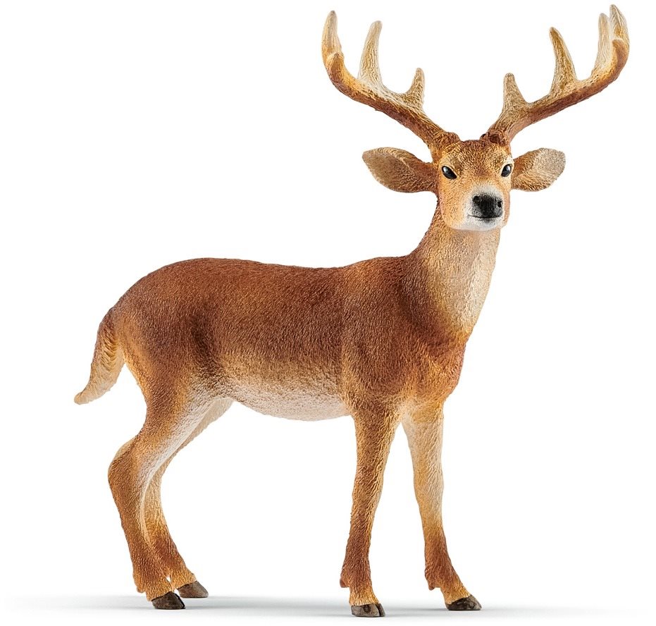 Schleich 14818 - Jeleň bielochvostý
