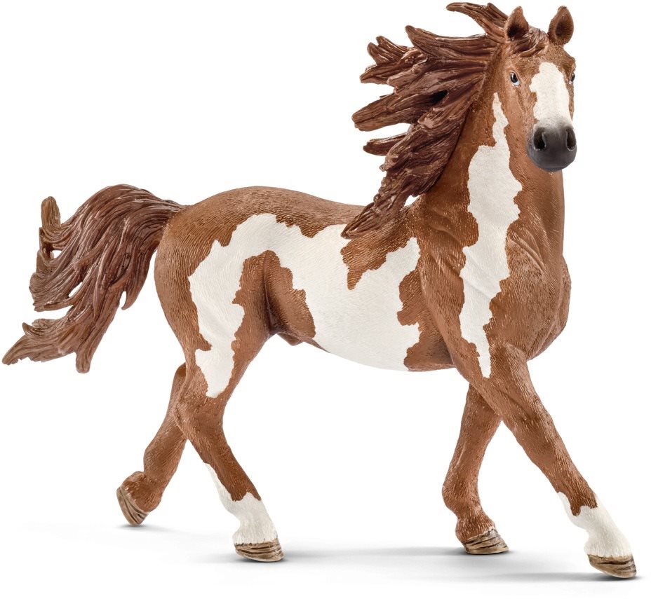 Schleich 13794 - Žrebec Pinto