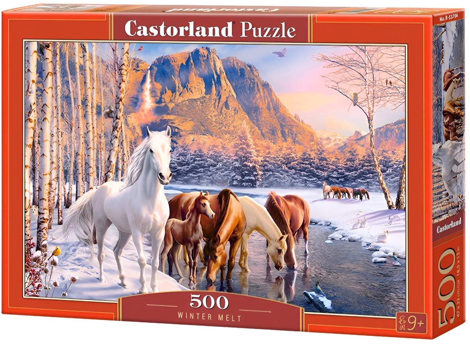 CASTORLAND Puzzle Stádo koní 500 dielikov