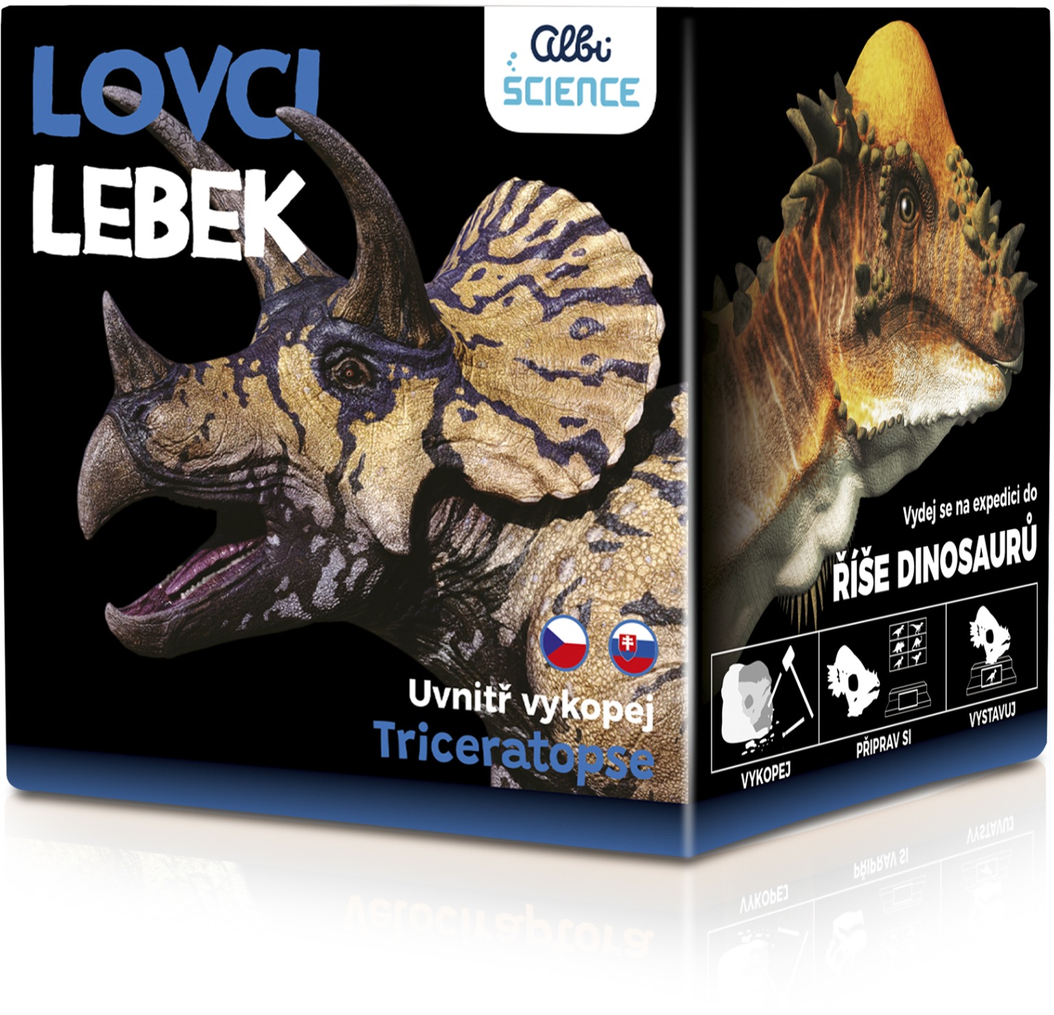 Lovci Lebek Triceratops