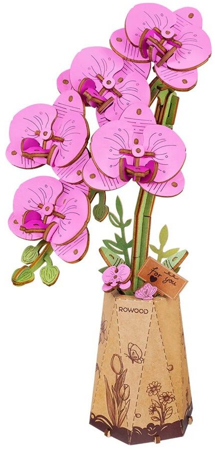 RoboTime Fialová orchidea