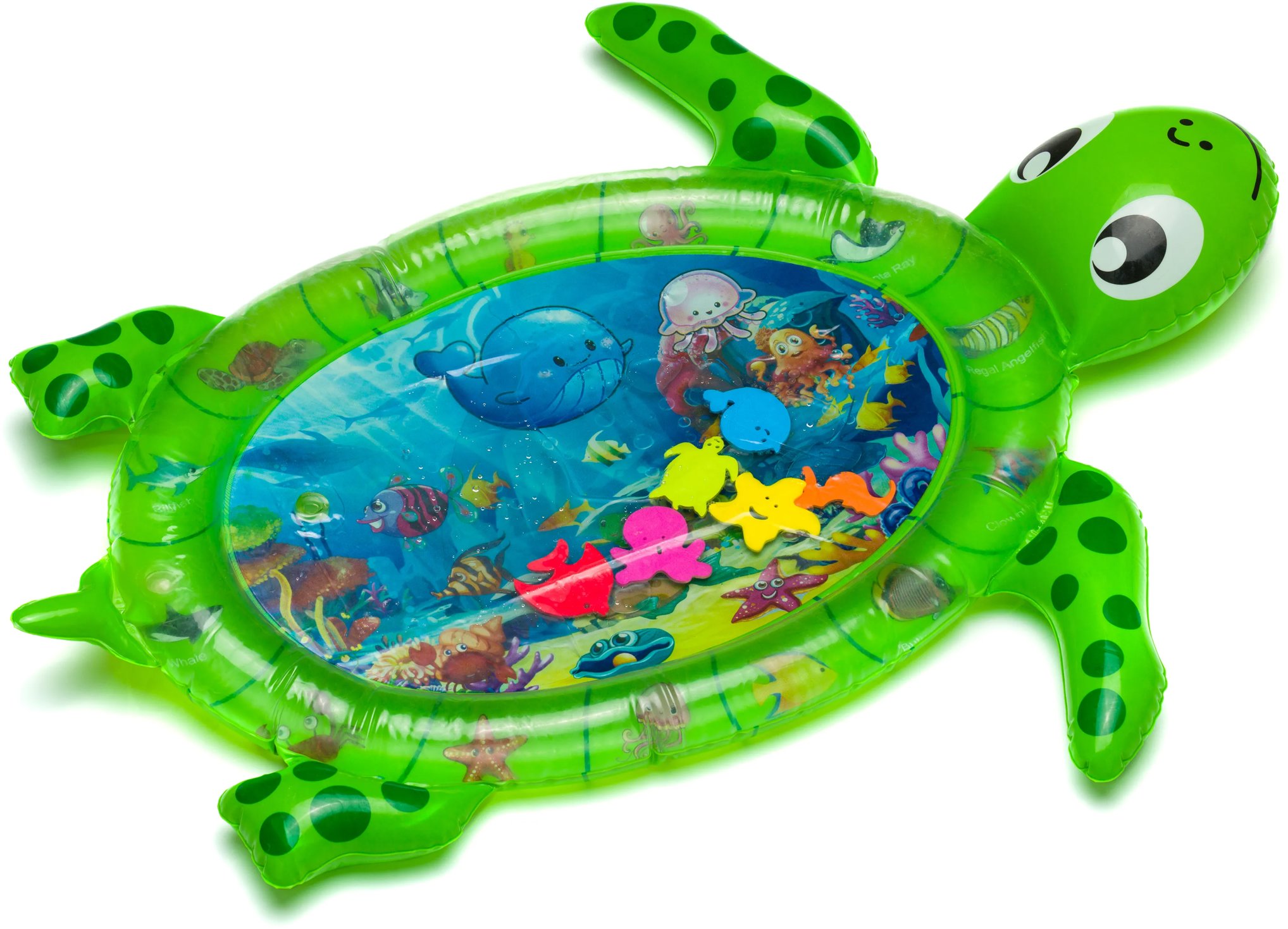 Fillikid Vodná korytnačka