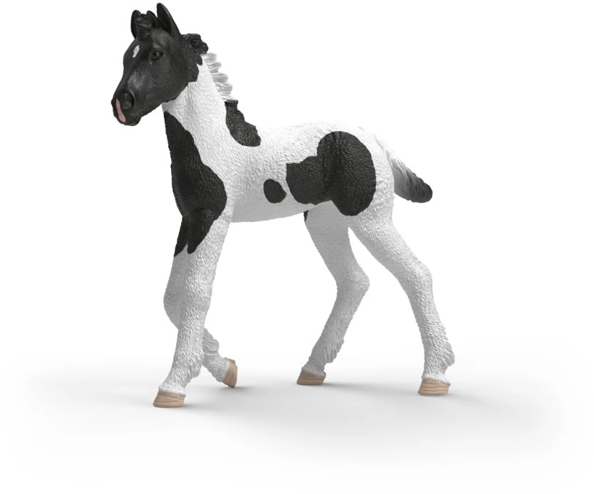 Schleich Hříbě Rocky 81481