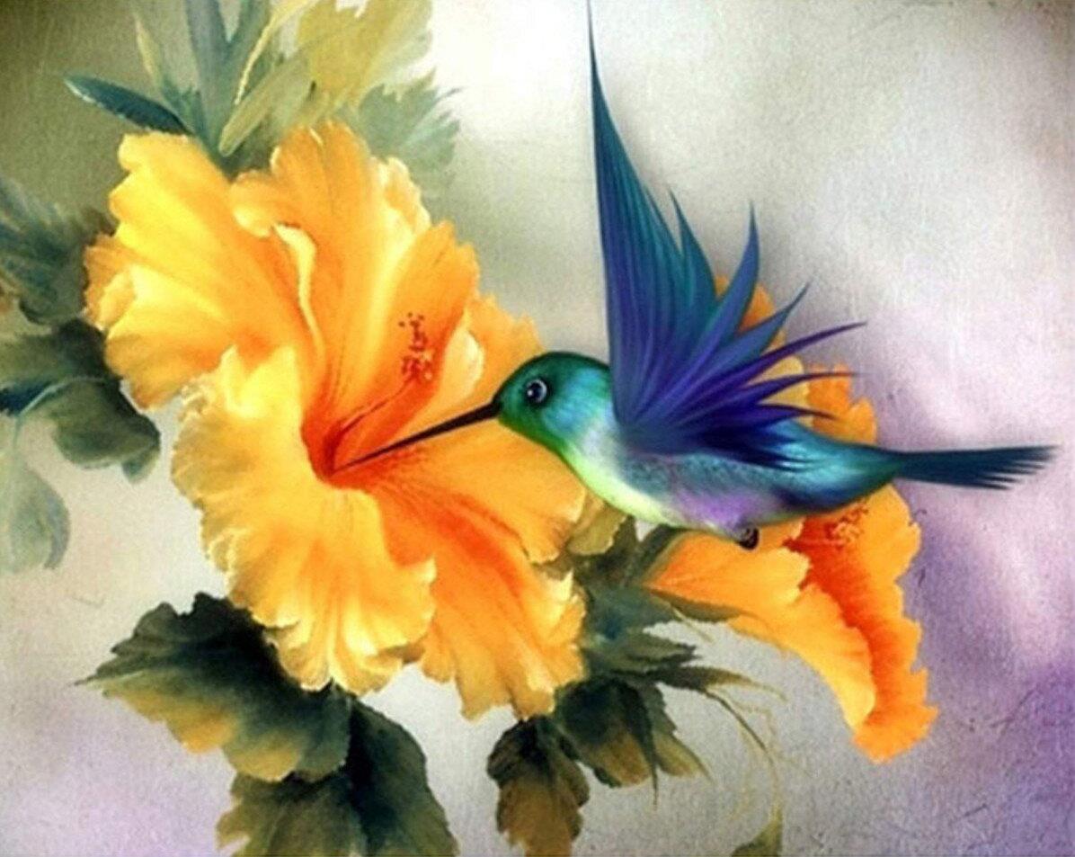 Gaira Kolibrík D0509
