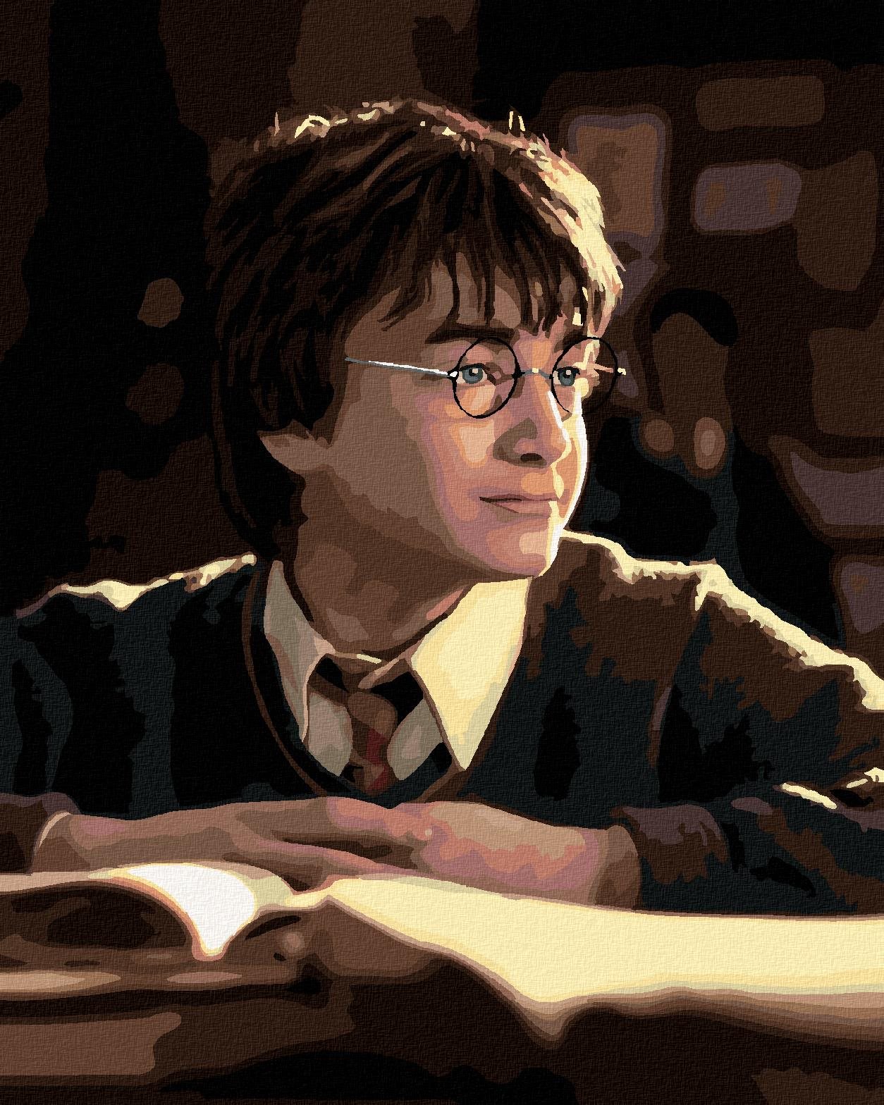 Zuty – Maľovanie podľa čísel – Harry Potter s knihou, 40 × 50 cm, plátno + rám