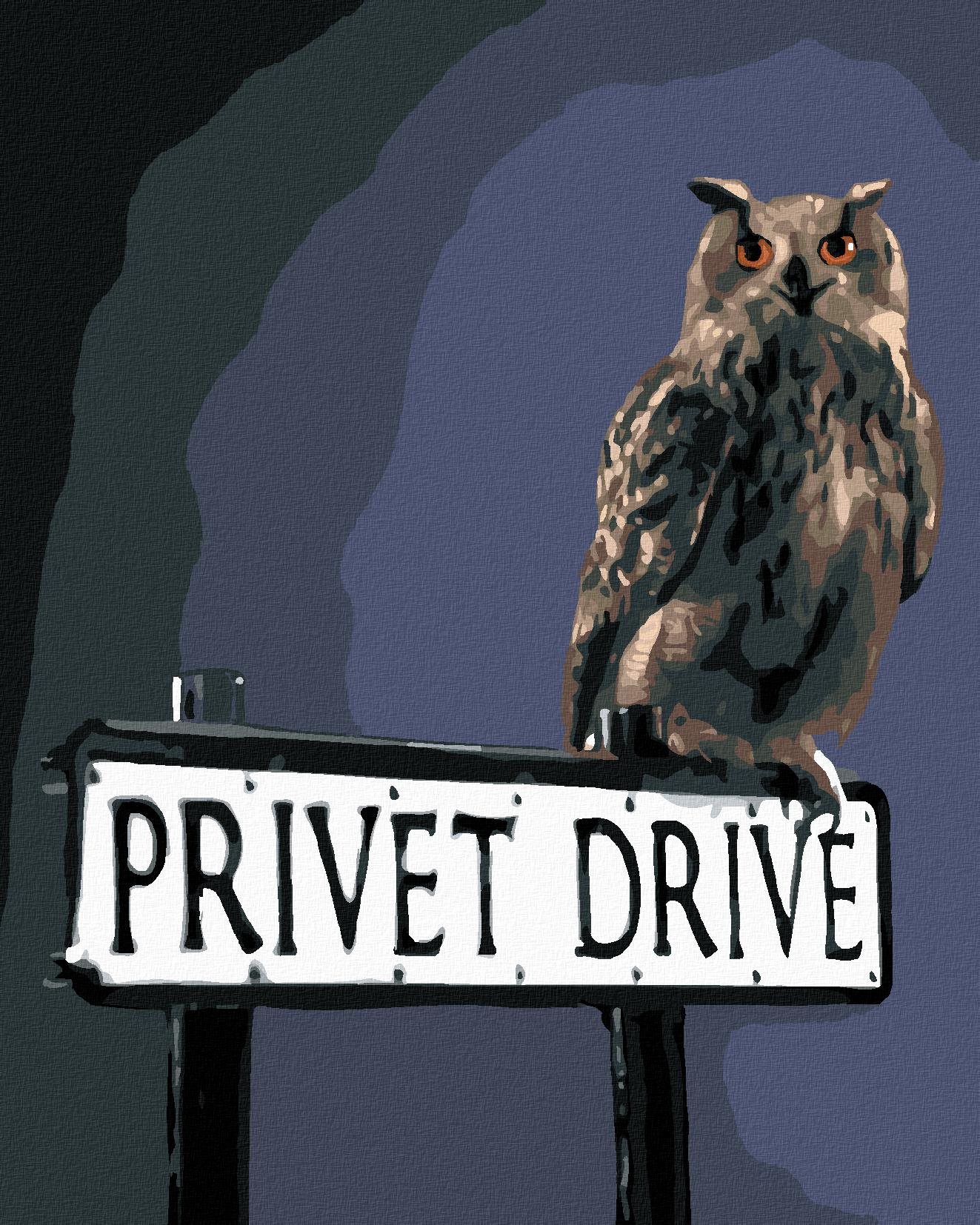 Zuty – Maľovanie podľa čísel – Sova na ceduli Privátná cesta (Harry Potter), 40 × 50 cm, plátno + rám