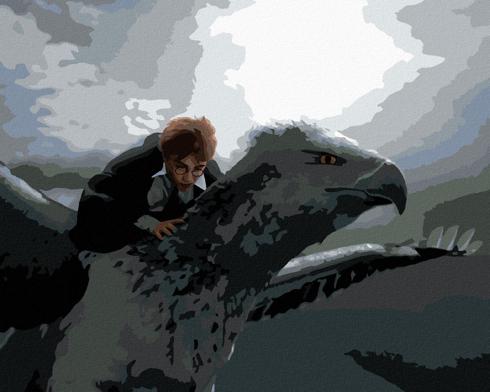 Zuty – Maľovanie podľa čísel – Harry Potter letiaci na hrdozobcovi, 40 × 50 cm, plátno + rám