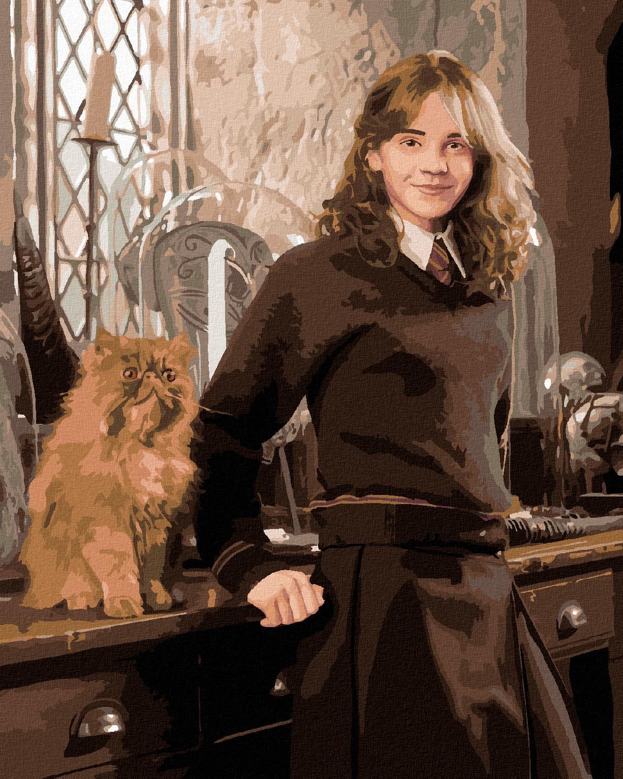 Zuty – Maľovanie podľa čísel – Hermiona s Krivolabom v učebni (Harry Potter), 40 × 50 cm, plátno