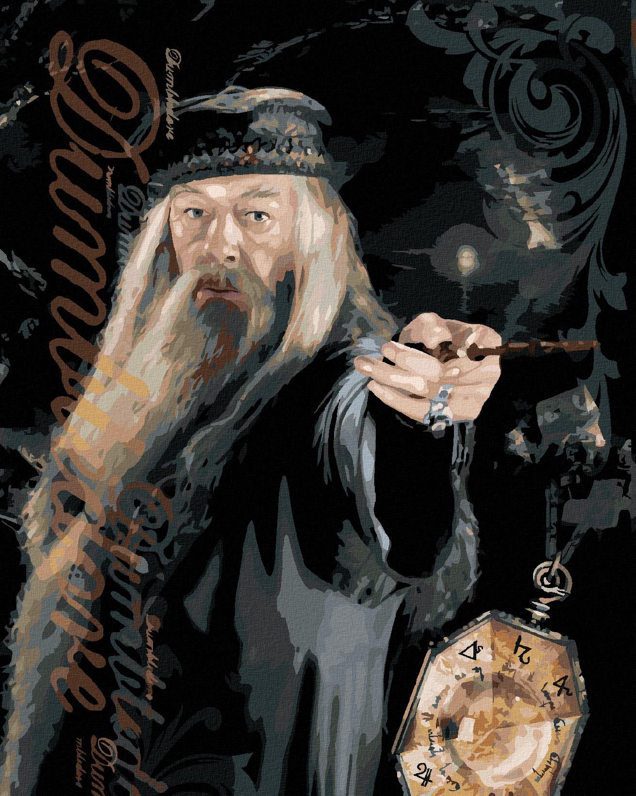 Zuty – Maľovanie podľa čísel – Plagát Dumbledore a horcrux (Harry Potter), 40 × 50 cm, plátno + rám
