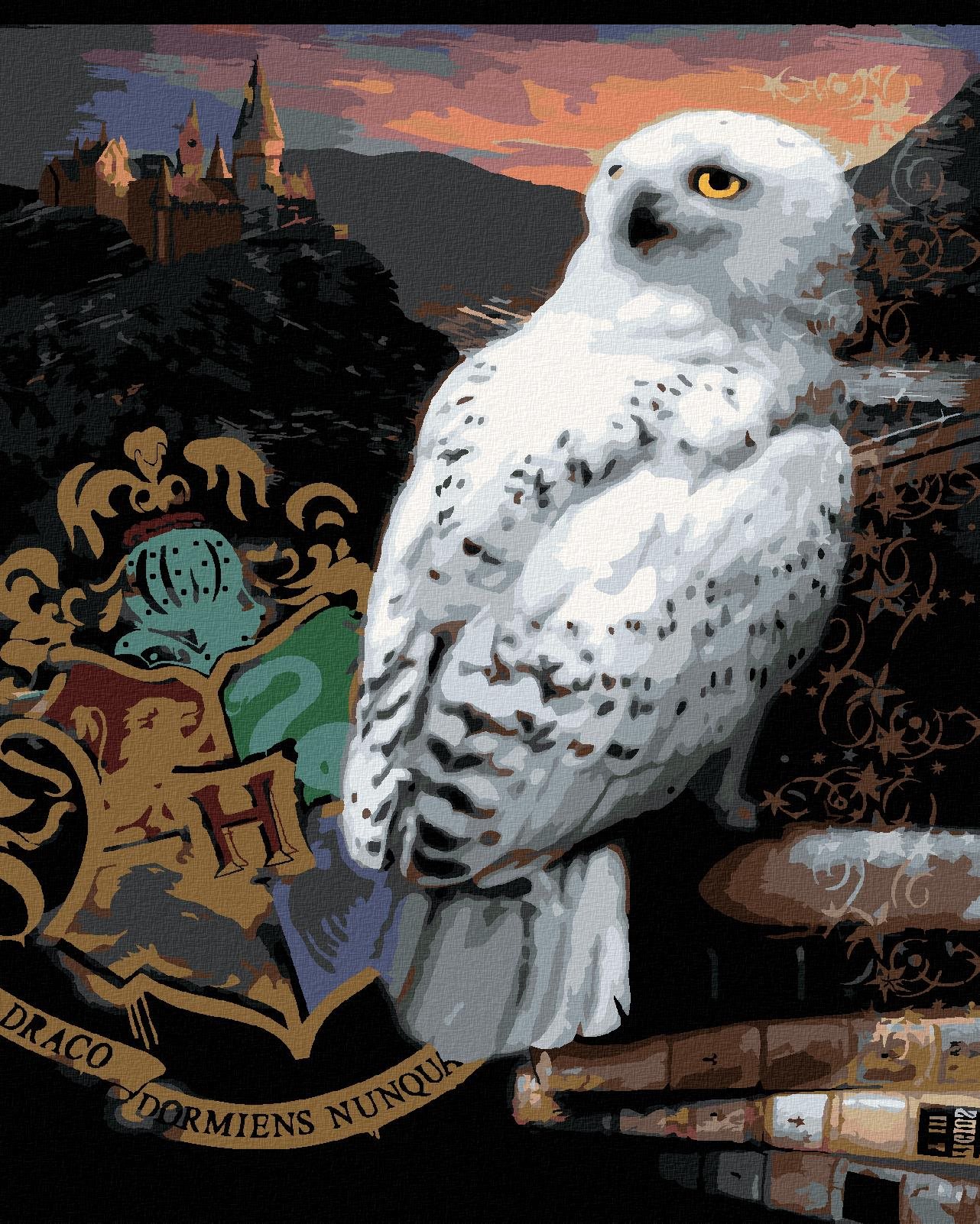 Zuty – Maľovanie podľa čísel – Plagát Hedviga a erb Rokfort (Harry Potter), 40 × 50 cm, plátno