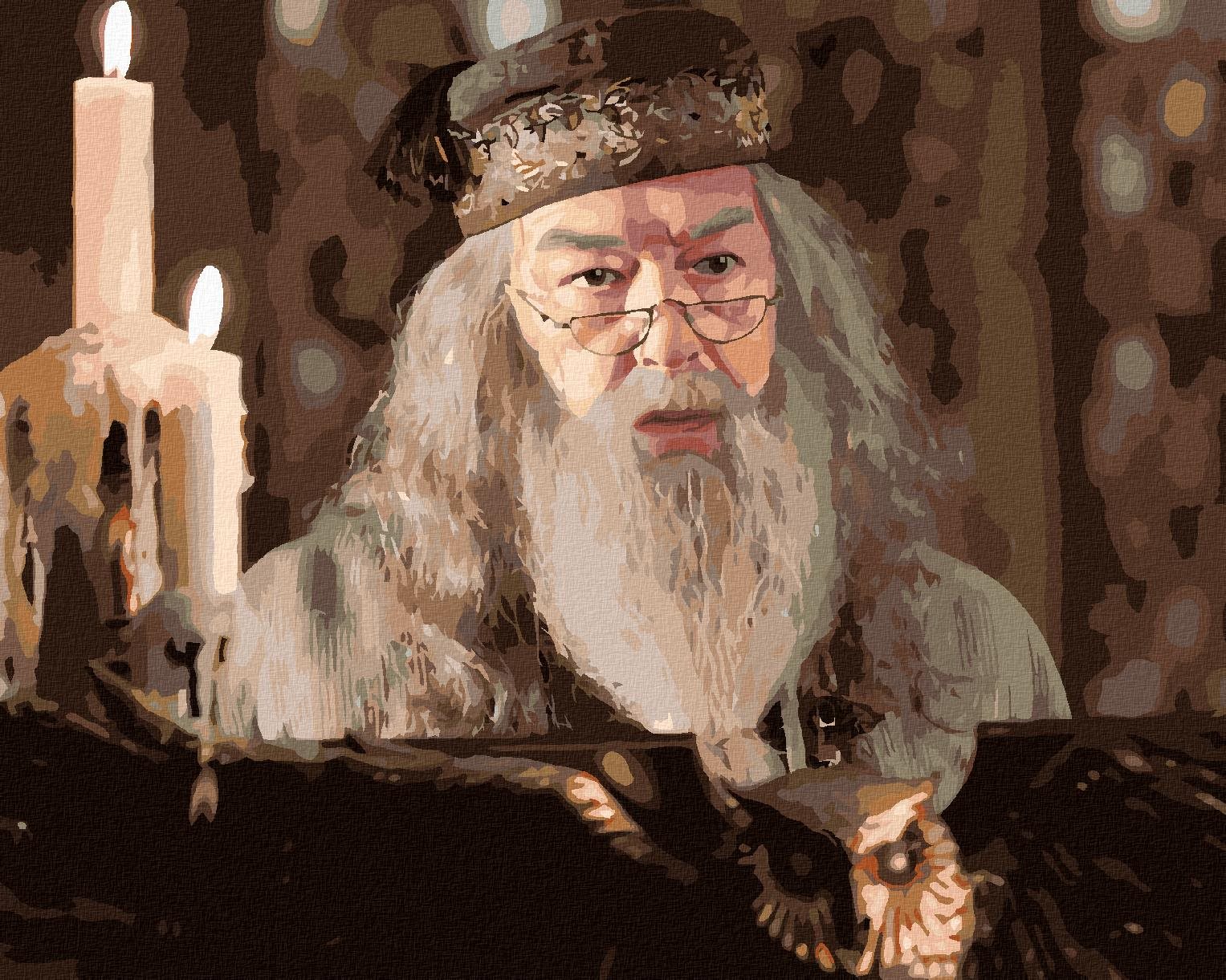 Zuty – Maľovanie podľa čísel – Dumbledore pri sovom rečníckom pulte (Harry Potter), 40 × 50 cm, plátno
